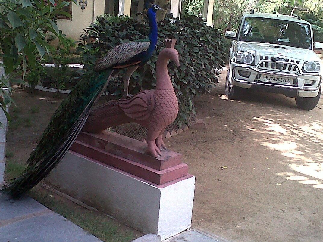 Shahar Palace Jaipur Exteriör bild
